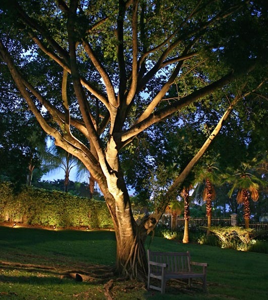 Illuminare il Giardino: Consigli e Idee per un buon Progetto